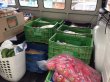 Luz Conforto Lista de Alimentos que precisamos para atender famílias até 30/07/2016.